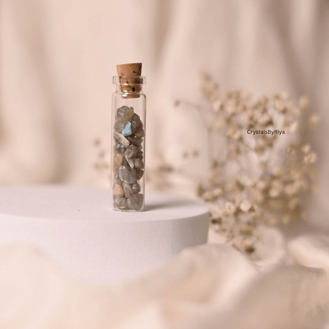 Mini Chip Jar — image 3