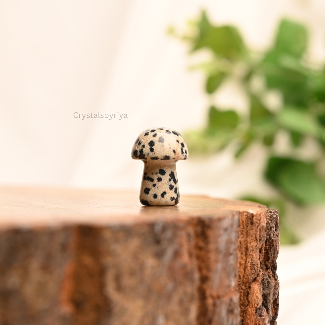 Crystal Mushrooms — image 4