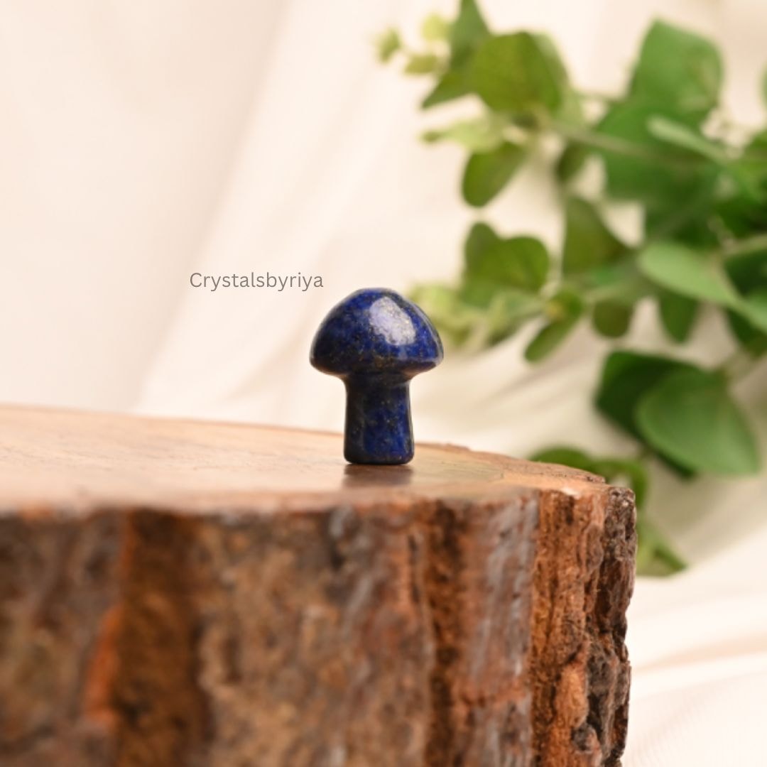 Crystal Mushrooms — image 8