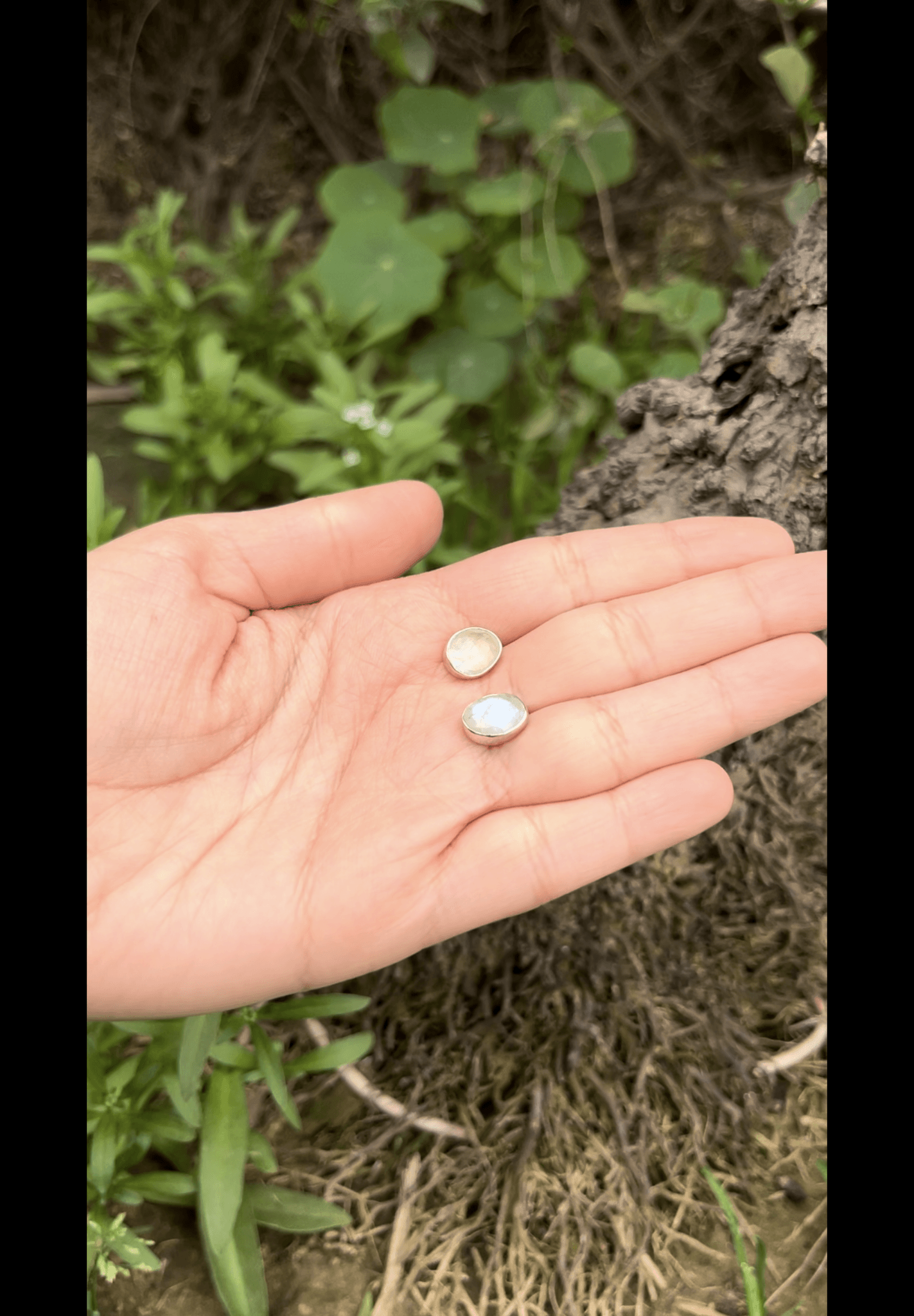 Rainbow Moonstone silver Earrings — image 4