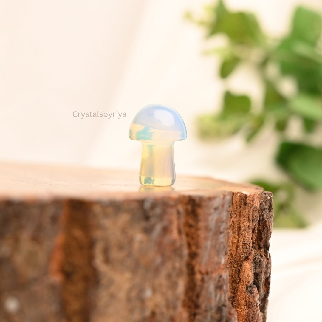 Crystal Mushrooms — image 7