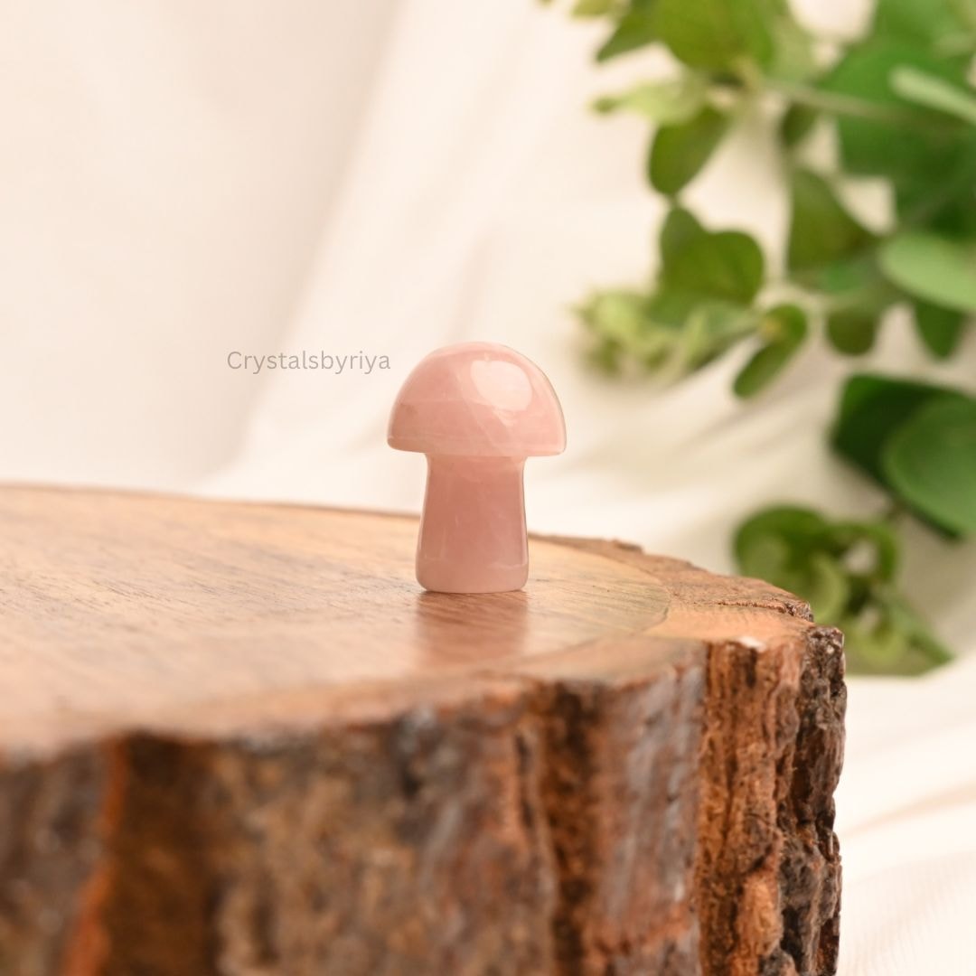 Crystal Mushrooms — image 6
